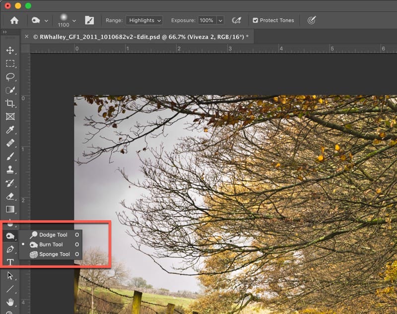 Accessing the Dodge and Burn Tools in the Photoshop Tools 