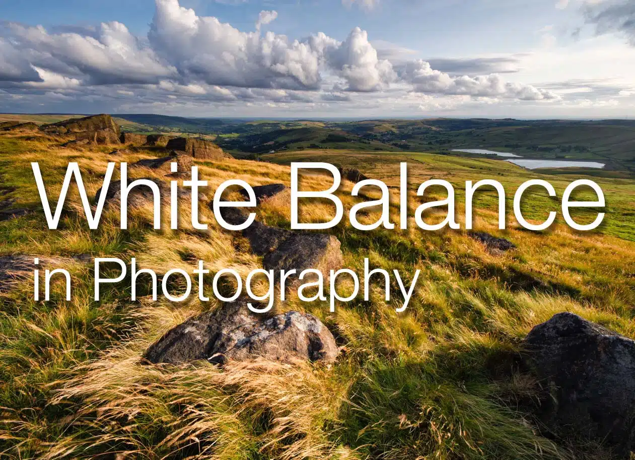 The importance of white balance for photography and how to set it