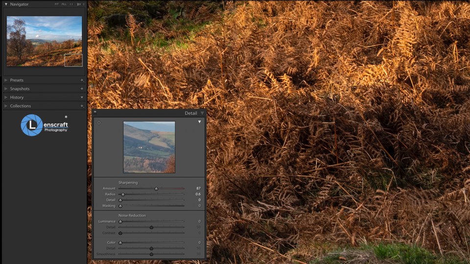 Stage one sharpening in Lightroom using the Amount and Radius sliders