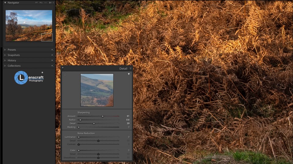 Stage two sharpening in Lightroom using the Detail slider