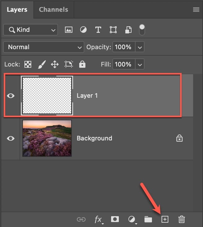 Adding a new empty layer to an image
