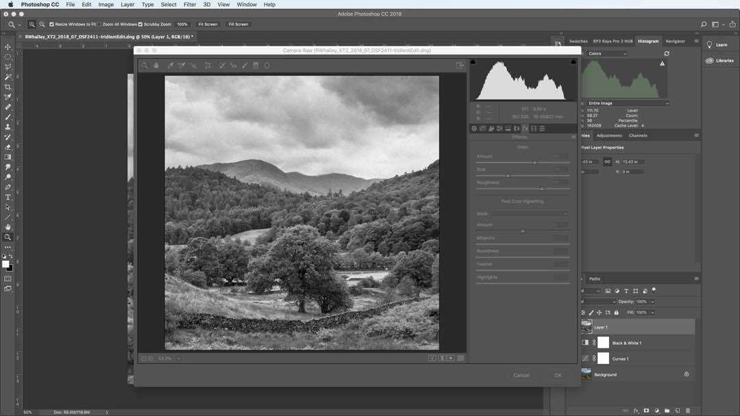 How to simulate film grain using Photoshops camera RAW filter