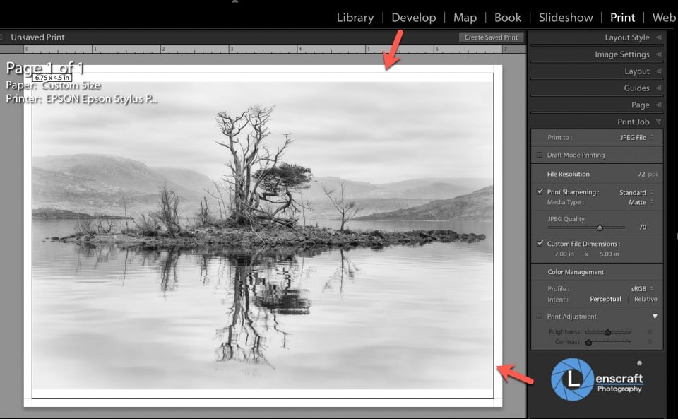image in Lightroom after size and quality settings have been applied
