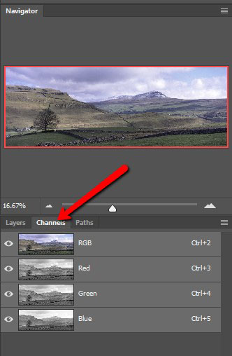 Image Channels in Photoshop Channels window
