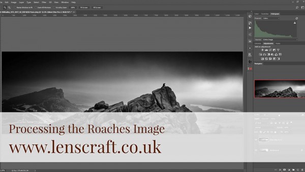 black and white processing the roaches image