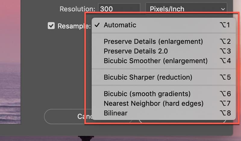 Scaling options in Photoshop to be used when resising the image