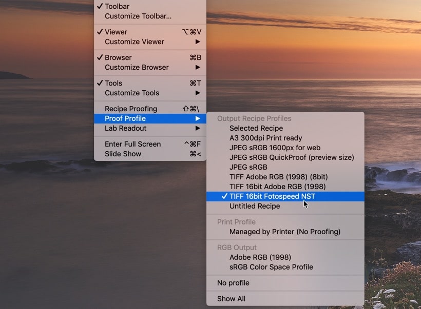 Capture One Soft Proofing in the View menu