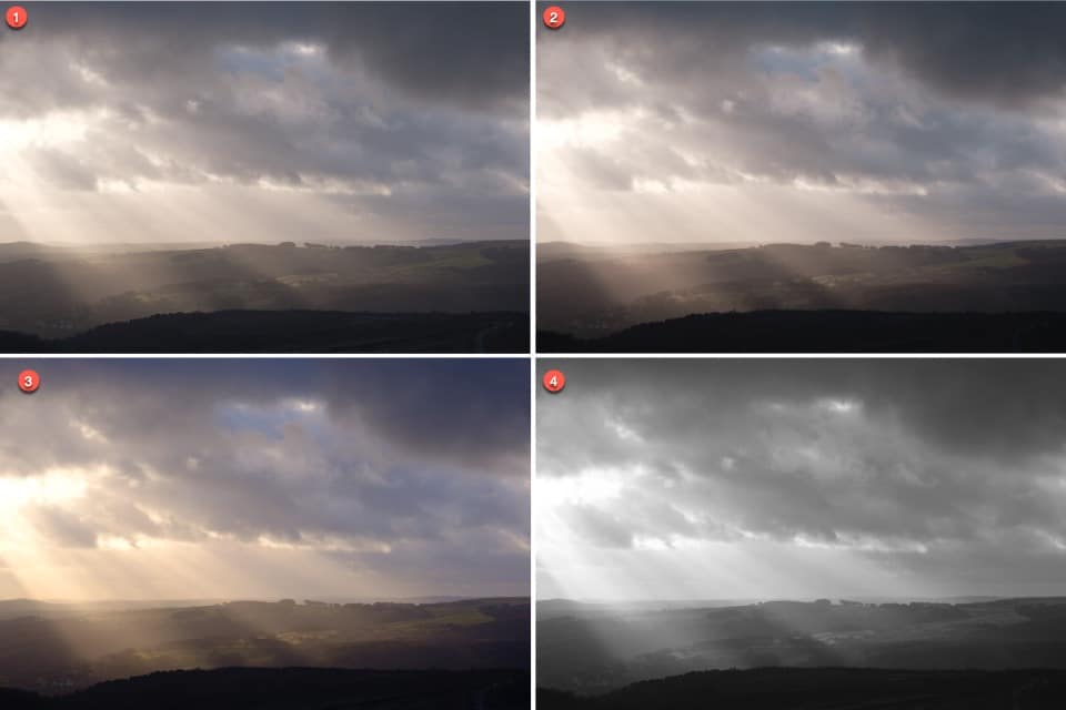 Example of four different camera profiles applied in Lightroom