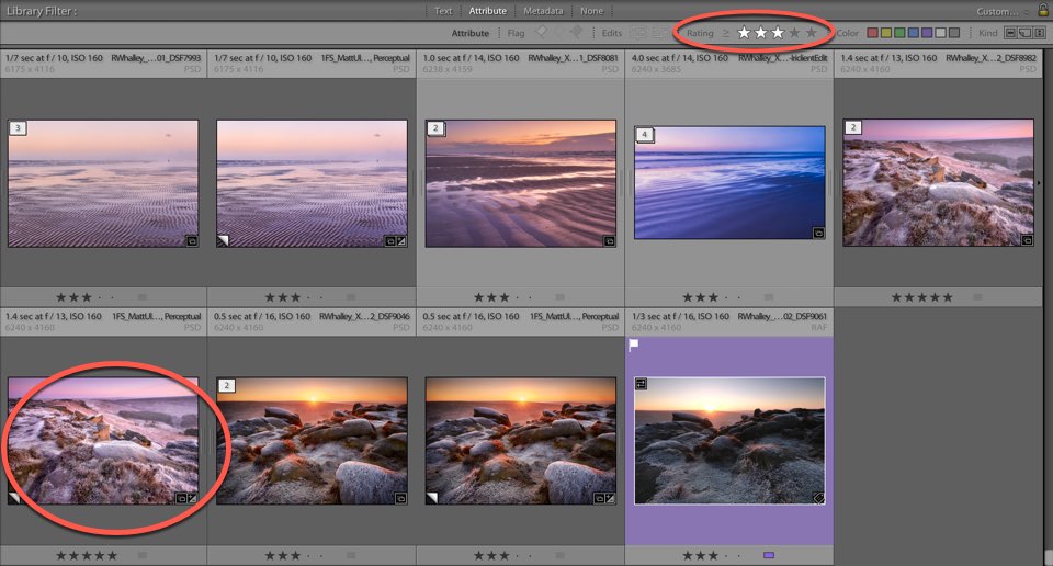 filtering photos using the star rating system