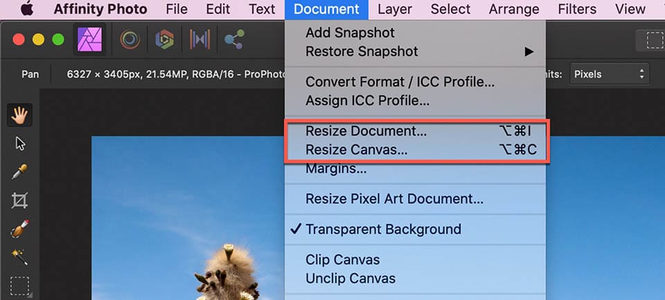 affinity photo image resizing options in the document menu