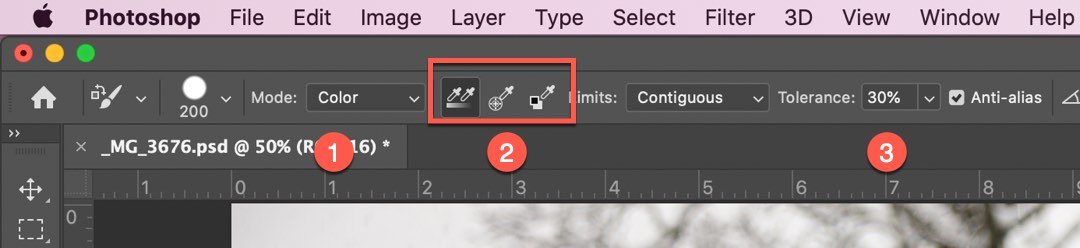 Setting the options for the color replacement tool in photoshop