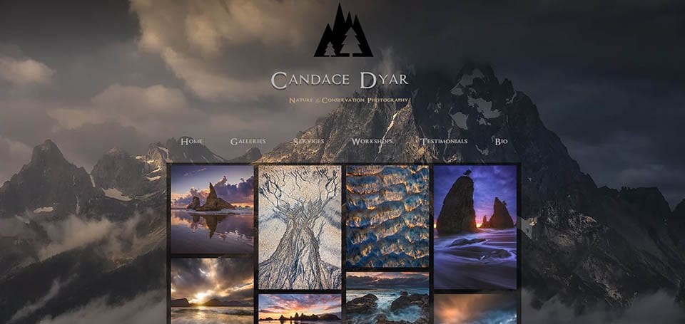 Candace Dyar website
