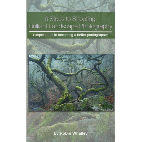 Square Cover 6 Steps to Shooting Brilliant Landscape Photography Book Cover
