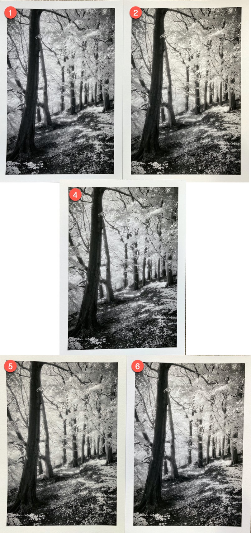 BW prints on smooth paper