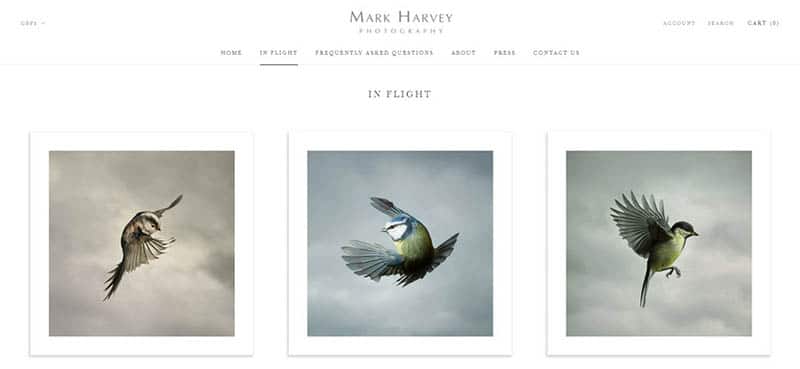 Mark Harvey website