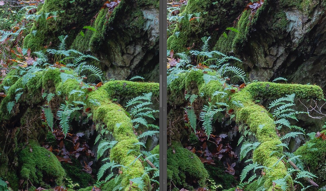 Comparing Pixel Shift with resized image