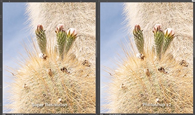 Adobe Super Resolution Comparison screenshots
