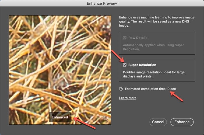 Enhance Preview showing Super Resolution
