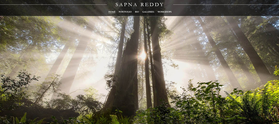 Sapna Reddy website