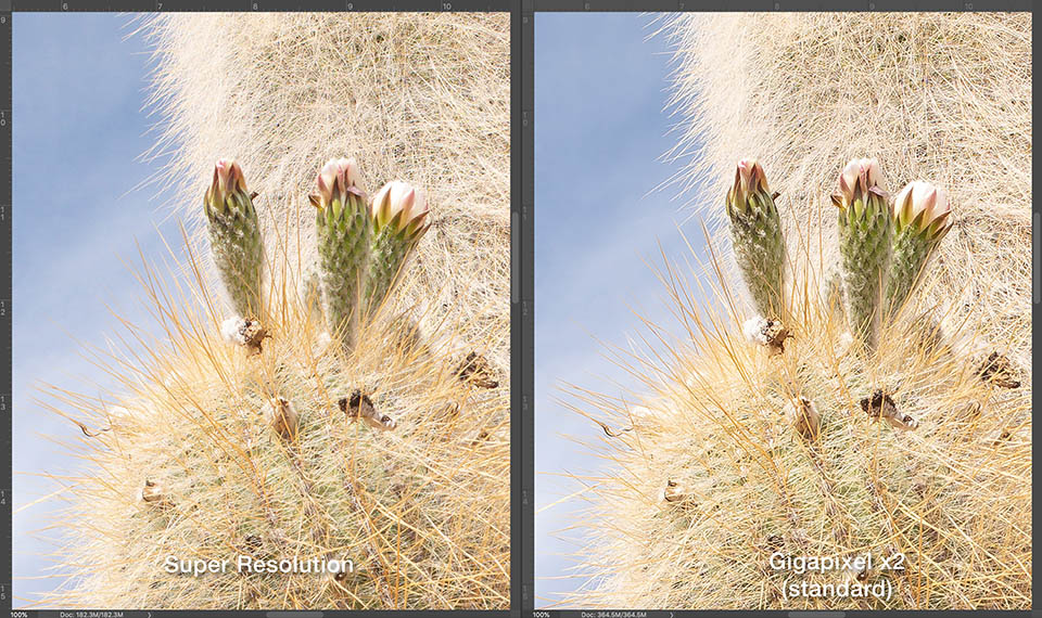 super resolution in photoshop compared to topaz gigapixel