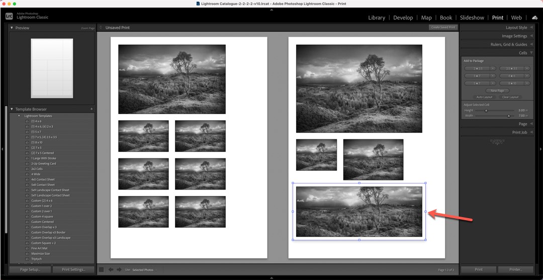 Lightroom Print module showing additional pages and print cells
