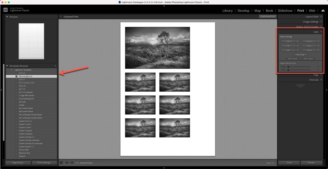 Using a Print Template in the Lightroom Print module