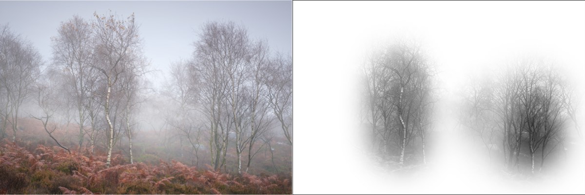 Fog effect applied to the image together with the tree mask