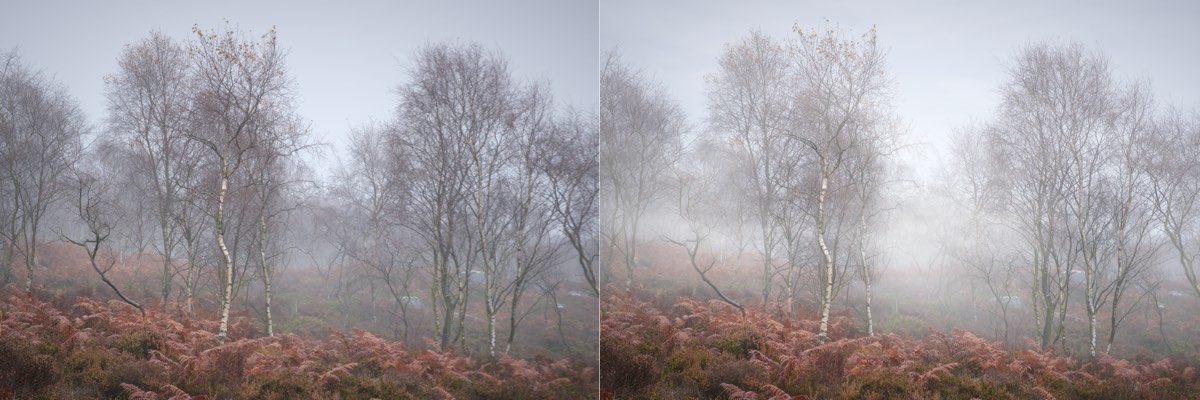 Image before and after adding the fog effect in affinity photo