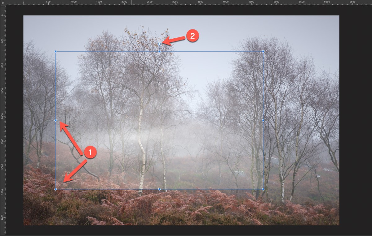Image in Affinity Photo with a fog overlay added