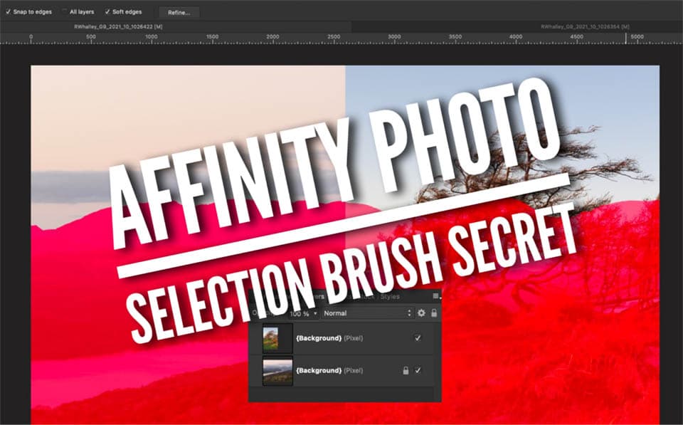 How to use the selection brush tool in affinity photo title image