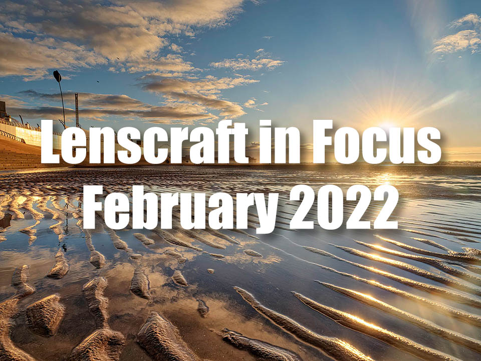 Lenscraft in Focus Main Image February 2022 Title image