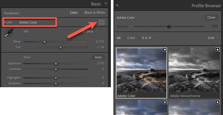 Changing the Camera Colour Profile in Adobe Lightroom