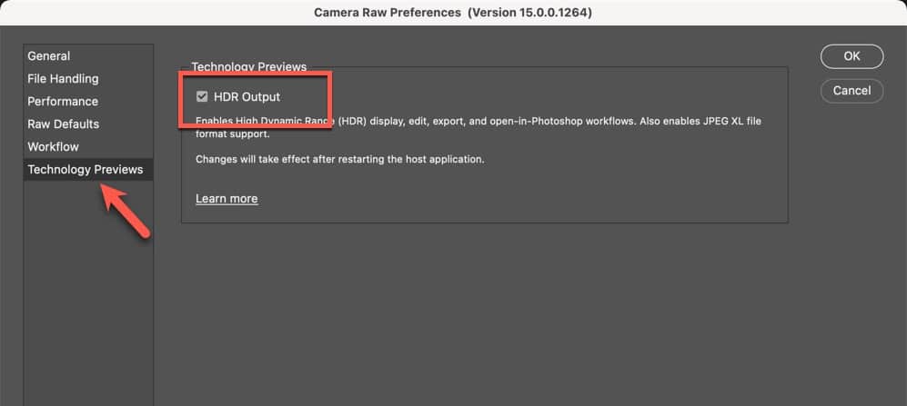 RAW File Handling preferences showing HDR option
