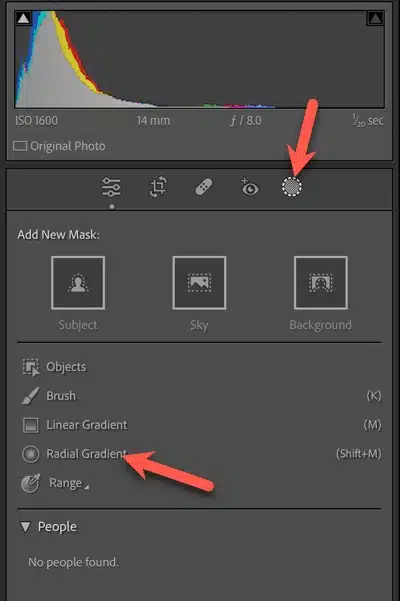adding the first Radial Gradient to the image in Lightroom