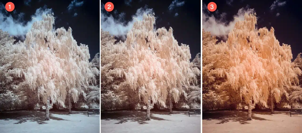 Finished infrared photo after channel swap showing three versions with different white balance settings
