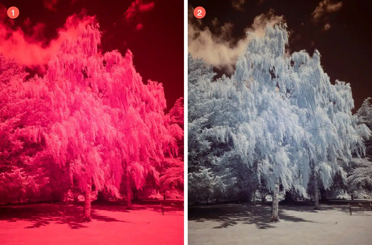 Starting Infrared photo with an incorrect white balance causing a bright red colour cast